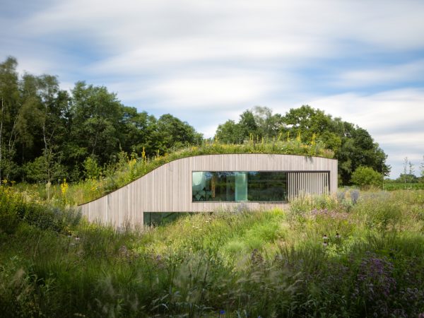 This House Is Truly ‘One with Nature’