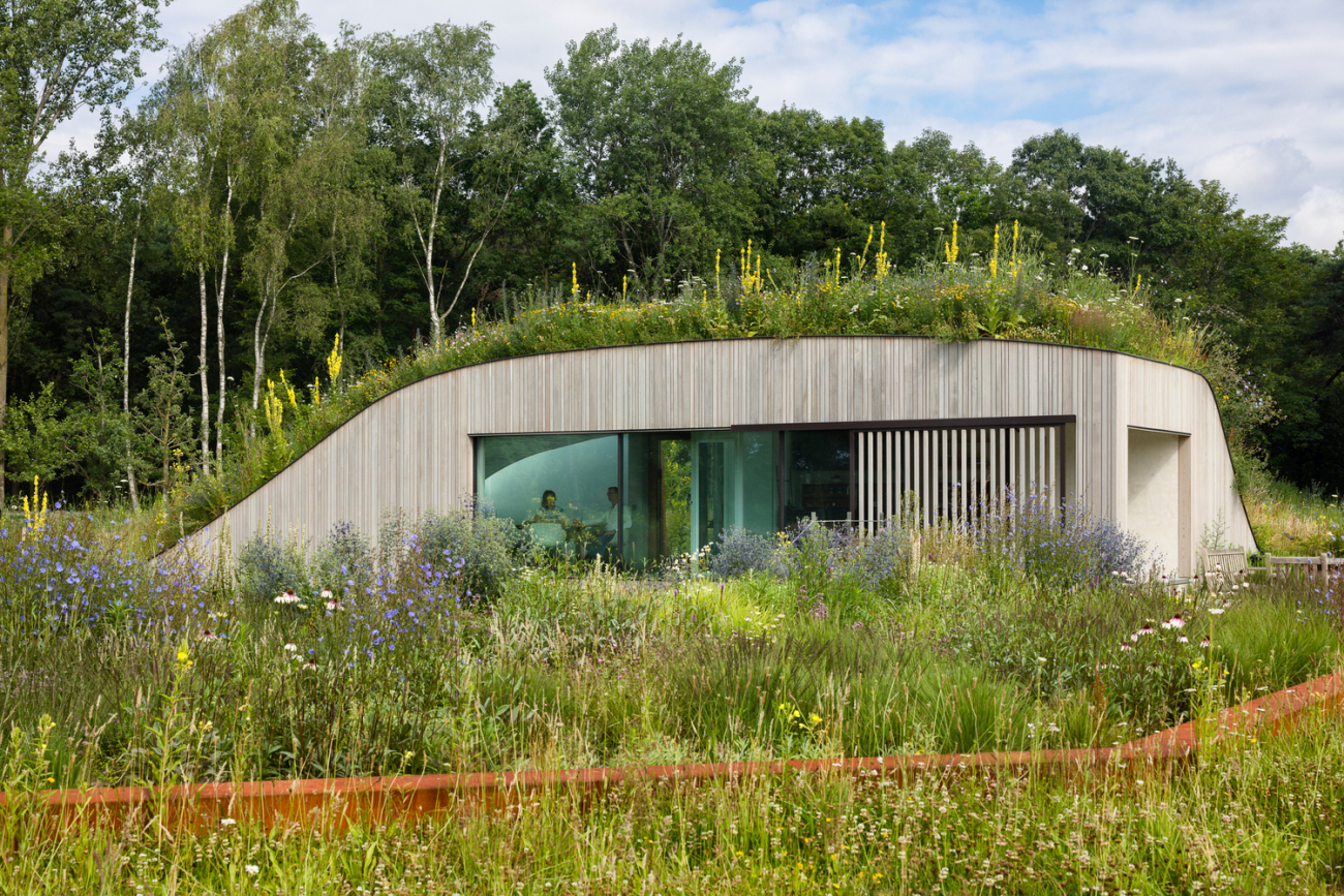 Modern underground house in Netherlands plants border