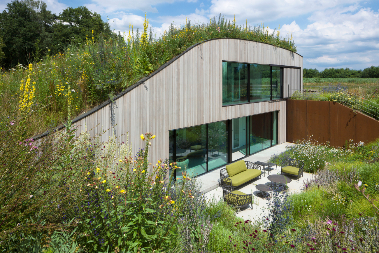 Modern underground house in Netherlands windows